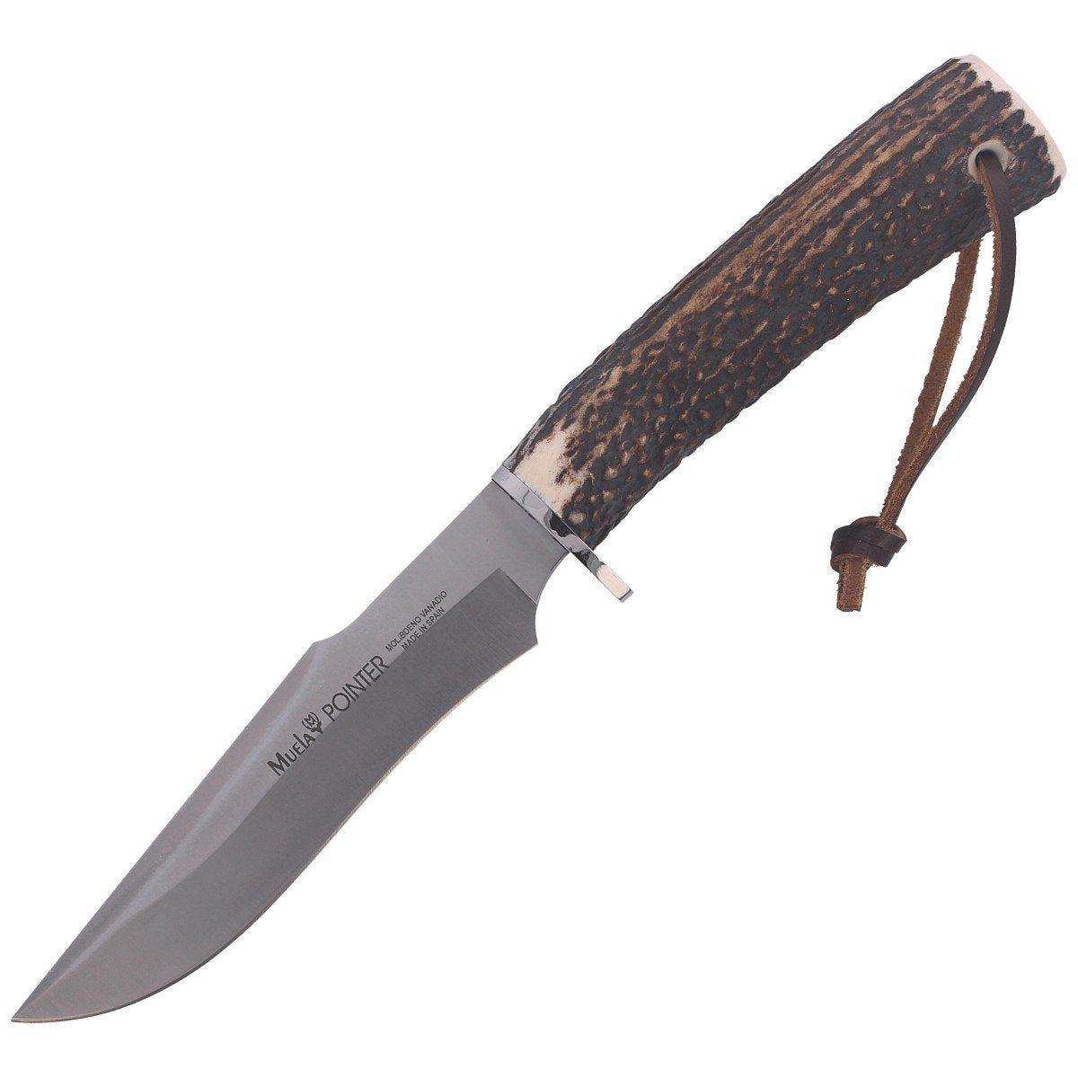 Muela Deer Stag, Satin X50CrMoV15 (POINTER-13A)