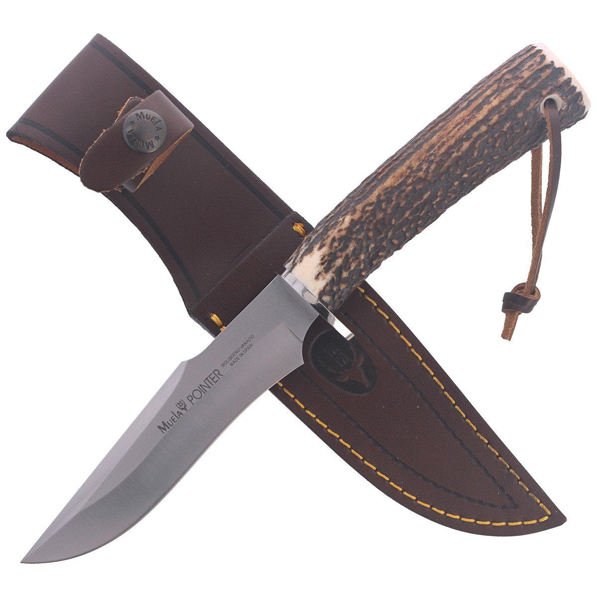 Muela Deer Stag, Satin X50CrMoV15 (POINTER-13A)