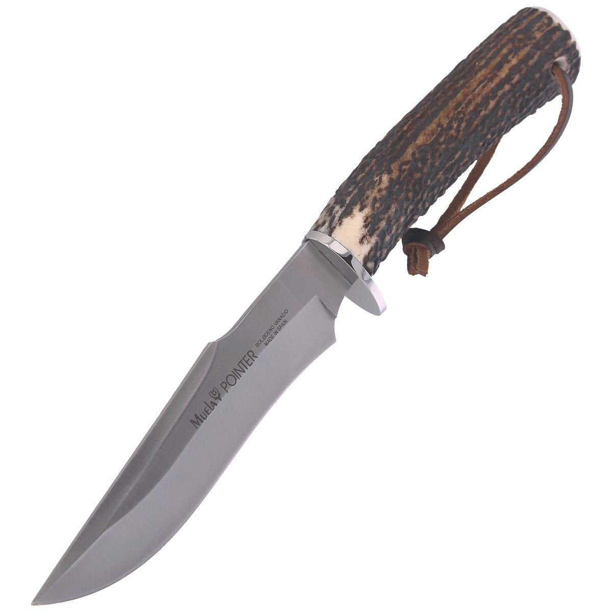Muela Deer Stag, Satin X50CrMoV15 (POINTER-13A)