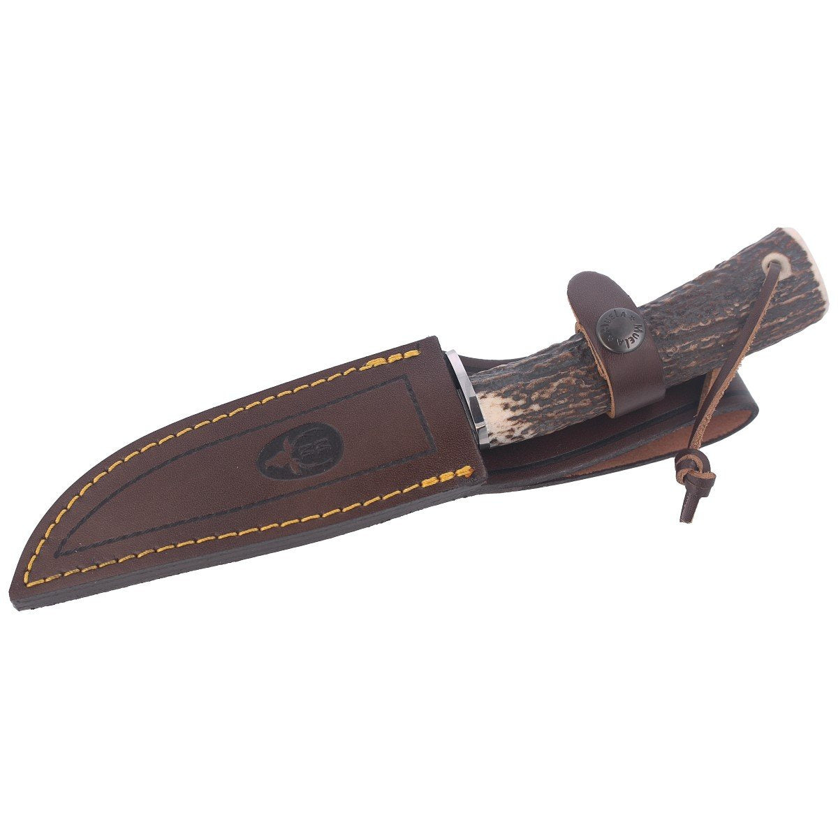 Muela Deer Stag, Satin X50CrMoV15 (POINTER-13A)