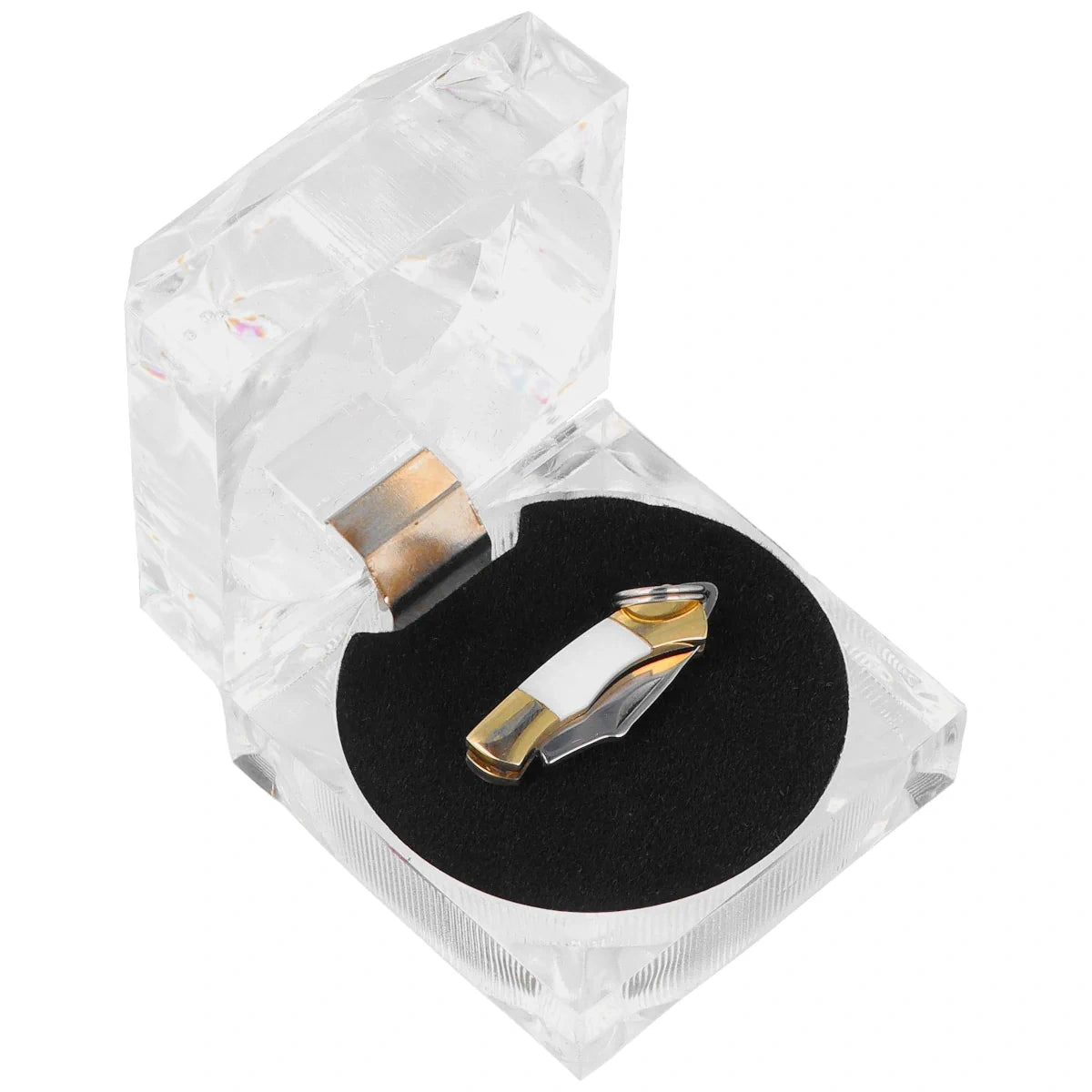 Third Decor Habitat Miniature Knife Abalone, Mirror-Polished 420 (N89-3)